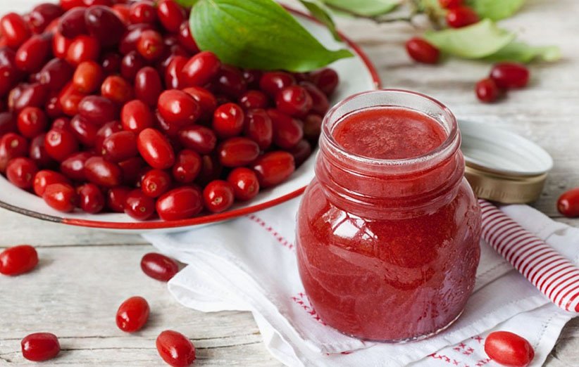 هرآنچه باید از فواید و عوارض مصرف زغالاخته بدانید