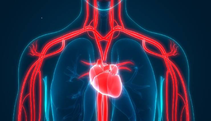 غلظت خون چیست؟ علل، علائم، روش تشخیص و درمان آن