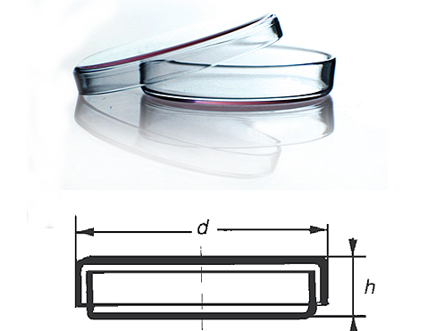 پلیت ( پتری دیش )