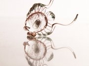 کد ۱۴ ماهی ۲