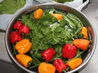 روش های ضد عفونی سبزیجات