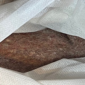 تشک طبی اسپرت