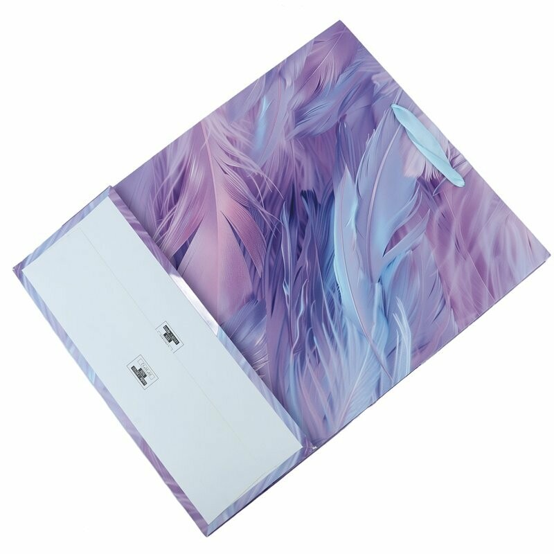 ساک دستی مقوایی کد 130101