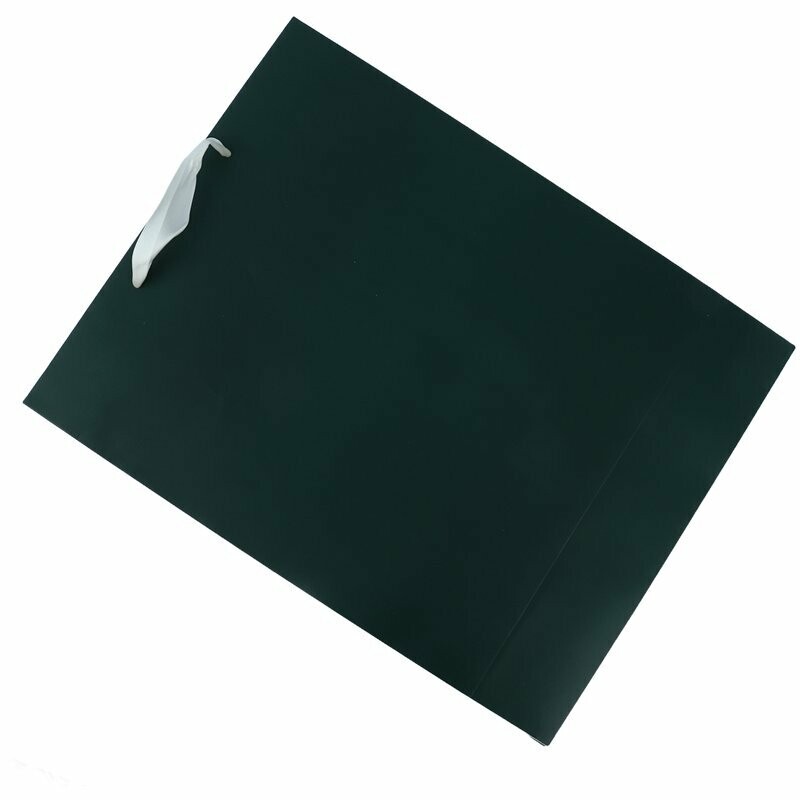 ساک دستی مقوایی کد 130103