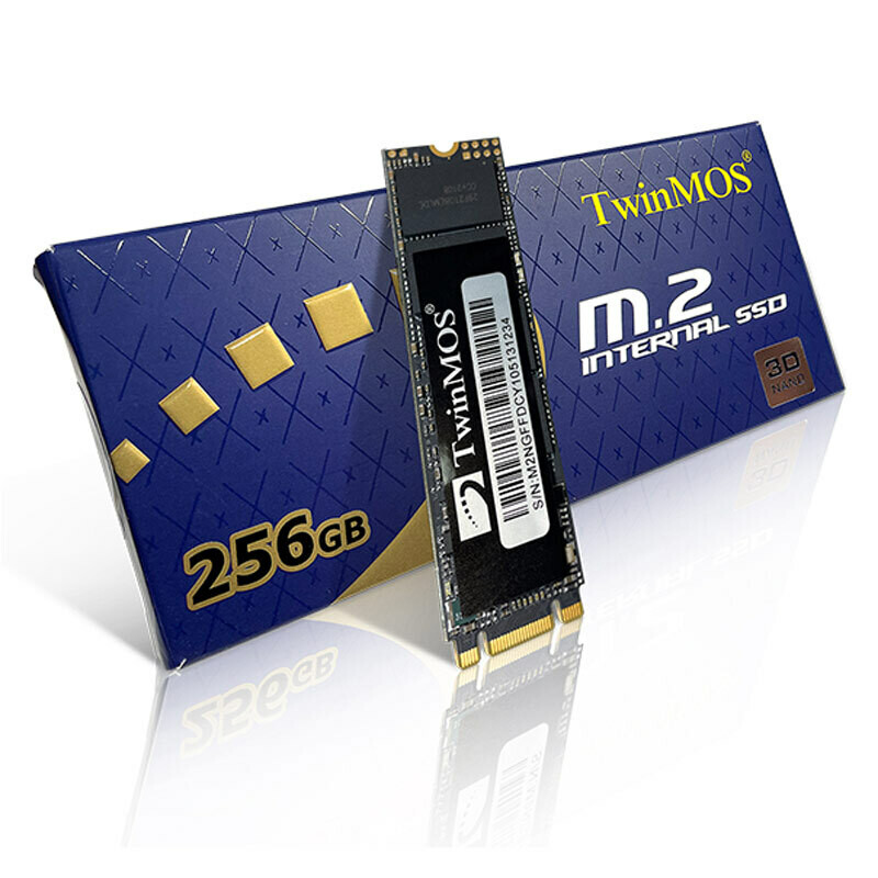 حافظه SSD توین موس TwinMos NGFFEGBM2280 256GB M.2