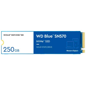 حافظه SSD وسترن دیجیتال Western Digital Blue SN570 250GB M.2