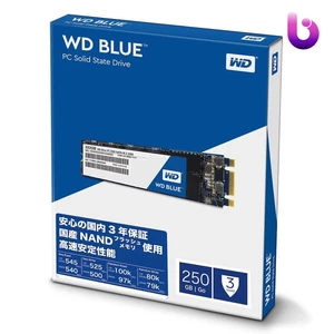 حافظه SSD وسترن دیجیتال Western Digital Blue 250GB M.2