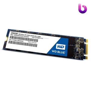 حافظه SSD وسترن دیجیتال Western Digital Blue 250GB M.2