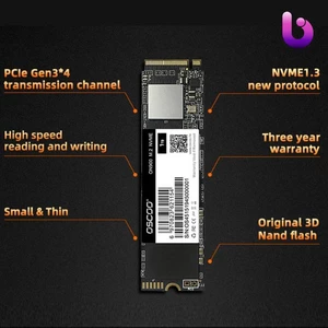 حافظه SSD اوسکو Oscoo ON900 256GB