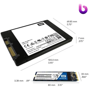 حافظه SSD وسترن دیجیتال Western Digital Blue 500GB M.2