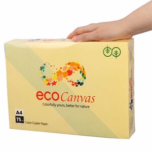 کاغذ A4 رنگی Eco Canvas 75g بسته 500 عددی