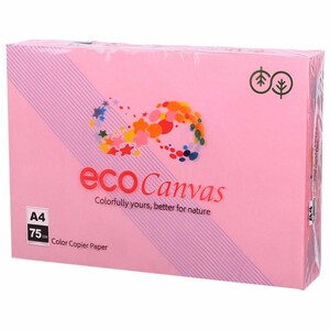 کاغذ A4 رنگی Eco Canvas 75g بسته 500 عددی