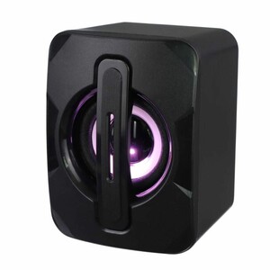 اسپیکر دسکتاپ ایکس فورتک X-S6