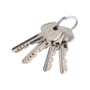 قفل کتابی آلپ ALP 100mm