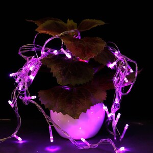 ریسه سوزنی 100 لامپ بنفش طول 8 متر