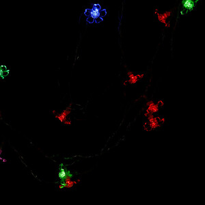 ریسه طرح گل گلایل کوچک 28 لامپ رنگی طول 3 متر