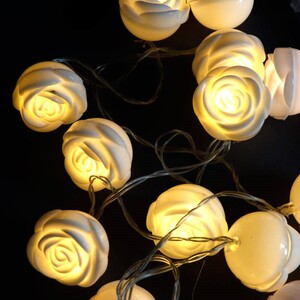 ریسه طرح گل سفید آفتابی طول 2.5 متر