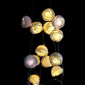 ریسه طرح گل سفید آفتابی طول 2.5 متر