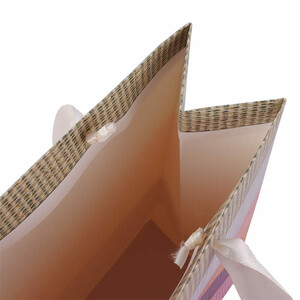 ساک دستی مقوایی کد 9532