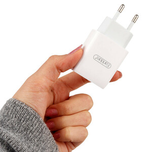 شارژر دیواری 10.5 وات ارلدام ES-197 2.1A + کابل تایپ سی