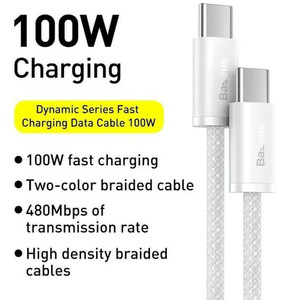 کابل دو سر تایپ سی فست شارژ 100 وات باسئوس P10381400111 طول 1 متر