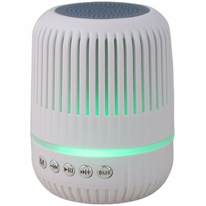 اسپیکر بلوتوثی گریت نایس GTS-2150