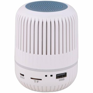 اسپیکر بلوتوثی گریت نایس GTS-2150