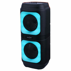 اسپیکر بلوتوثی گریت نایس GTS-2133 + میکروفون