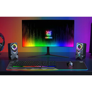 اسپیکر دسکتاپ اونیکوما L2