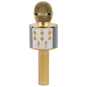 میکروفون اسپیکر سینگ ای ZQS858