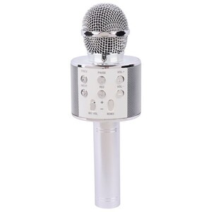 میکروفون اسپیکر سینگ ای ZQS858