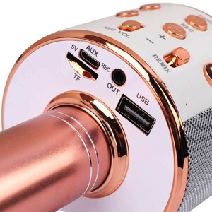 میکروفون اسپیکر سینگ ای ZQS858