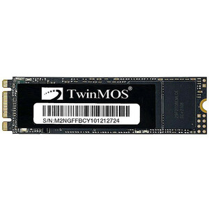 حافظه SSD توین موس TwinMos NGFFEGBM2280 256GB M.2