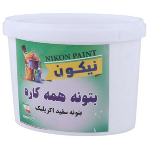 بتونه همه کاره Nikon Paint 500gr