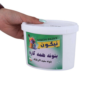 بتونه همه کاره Nikon Paint 500gr
