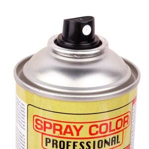 اسپری رنگ Eco Service 400ml