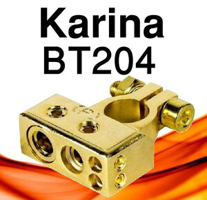 204-KARINA BT سر باتری کارینا