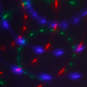 رقص نور گردان Dancing RGB LED کد 1