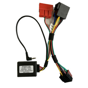 Interface اینترفیس پایونیر به پرشیا و پژوپارس