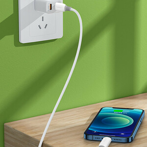 کابل لایتنینگ فست شارژ 20 وات ارلدام EC-159i طول 2 متر