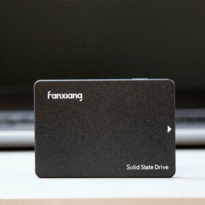 حافظه SSD فانشیانگ Fanxiang S101 480GB