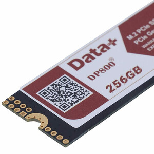 حافظه SSD دیتا پلاس DATA+ DP800 256GB M.2