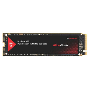 حافظه SSD میکروسونیک Microsonic Black Panther 256GB M.2