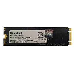 حافظه SSD فدک FDK B5 5DPI20241109 256GB M.2