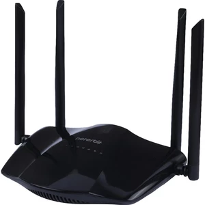 مودم روتر سیمکارتی 4G LTE نتربیت NW-421F