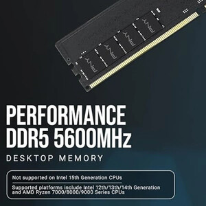 رم کامپیوتر پی ان وای Performance DDR5 16GB Single 5600MHz CL46