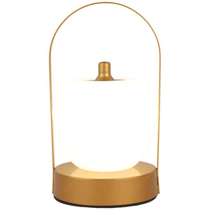 چراغ خواب طرح سیب