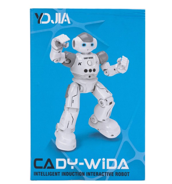 ربات کنترلی مدل Cady Wida