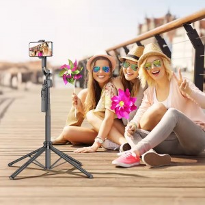 مونوپاد و گیمبال AI FACE C17