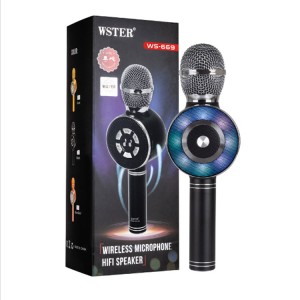 میکروفن ws-669 اصلی شرکت وستر